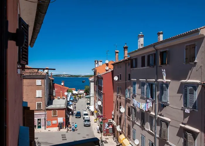 Your Choice * 로비니