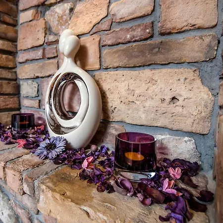 Your Choice * Rovinj